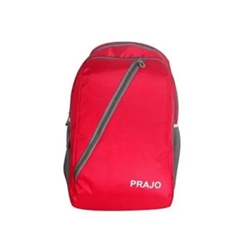 Pink College Bag